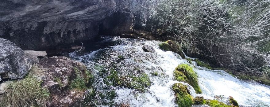 Nacimiento Del Rio Cuervo