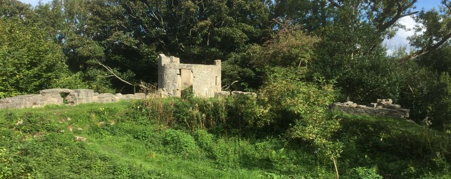 Aberlleiniog Castle