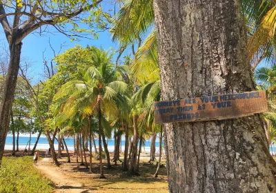 Carmen Beach