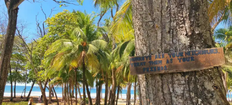 Hotels in Carmen