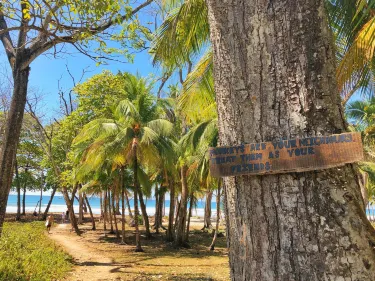 Carmen Beach