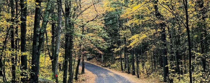 F. Gilbert Hills State Forest