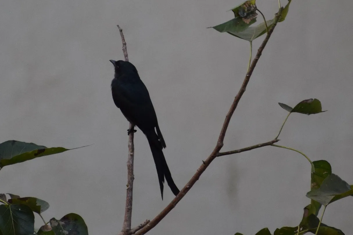 5_Lokhandwala Lake