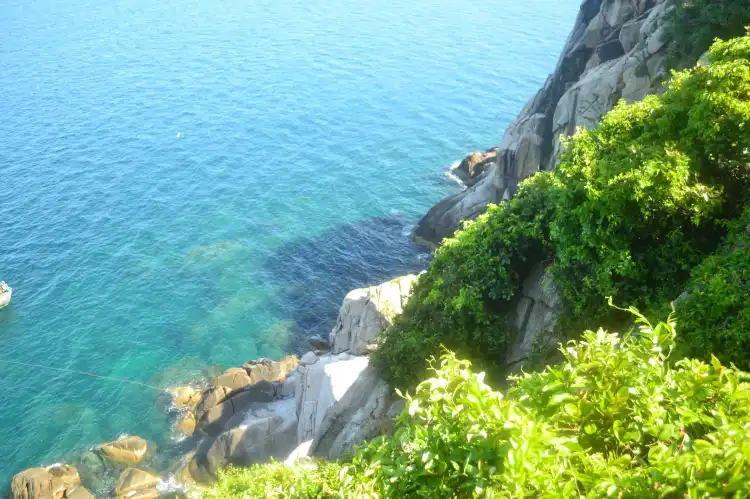 Hưng Trạch