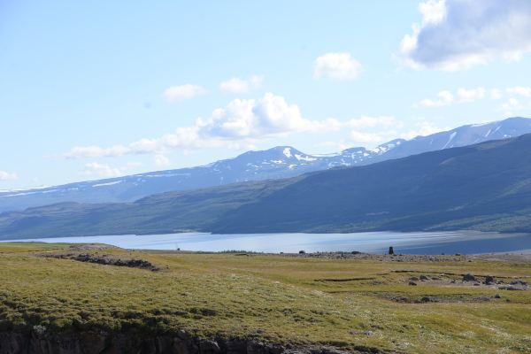 Fellabaer