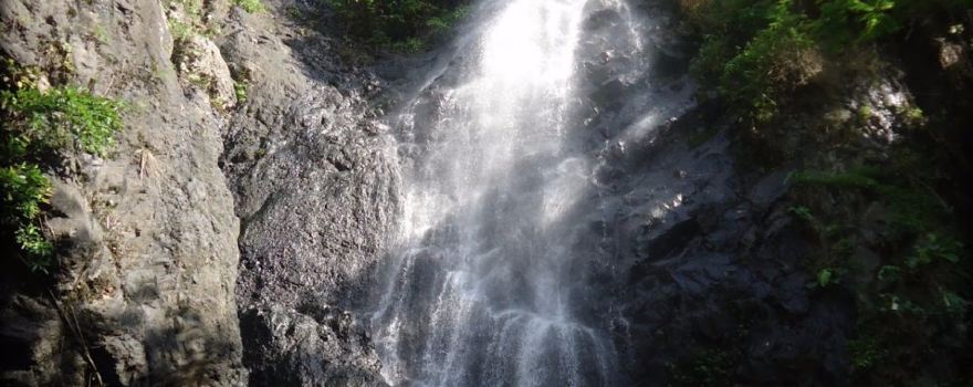 Kabupaten de Purworejo