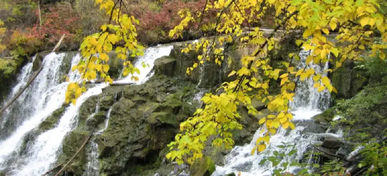 Hotels in 100 Mile House