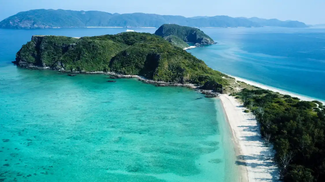Hotels near Toma