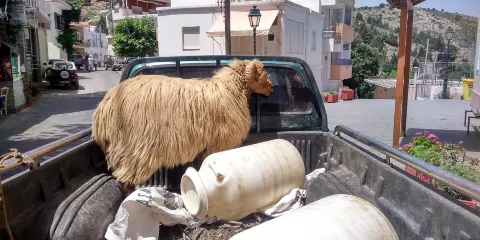 Nikos Xylouris House