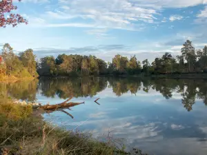 Kickerillo-Mischer Preserve