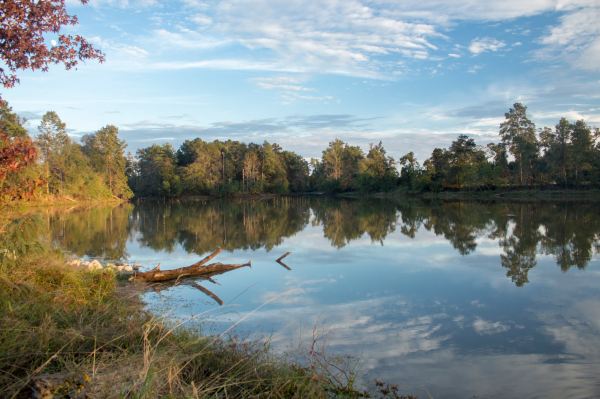 Kickerillo-Mischer Preserve