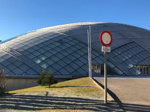 Pista de Hielo
