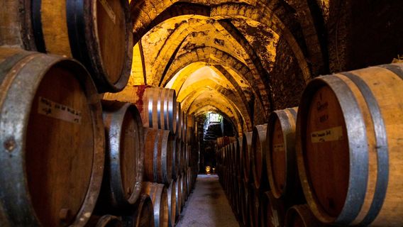 Cave de la Reine jeanne / Jérôme Arnoux - Vins du Jura
