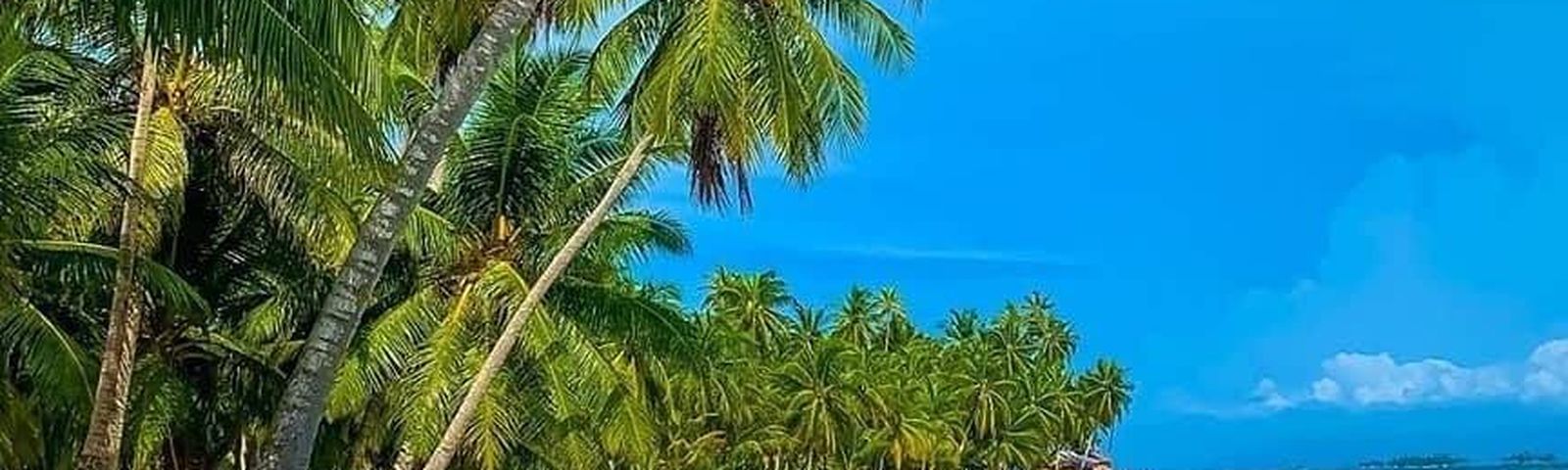 travel