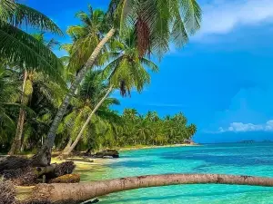 San Blas Wild