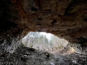 Nature reserve Szachownica