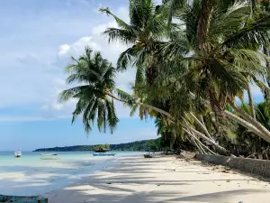 Kasuso