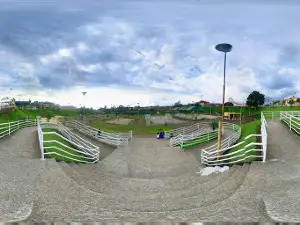 Parque Los Rosales