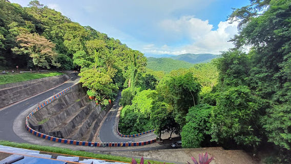 Bitukang Manok Viewdeck