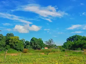 Saidapur Talaab