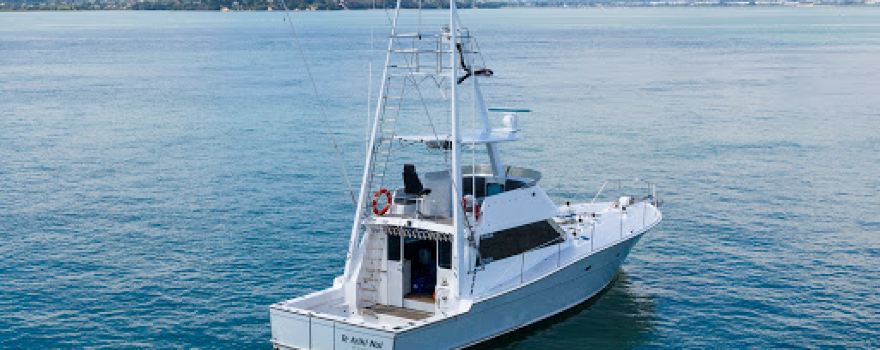 Pelagic Charters