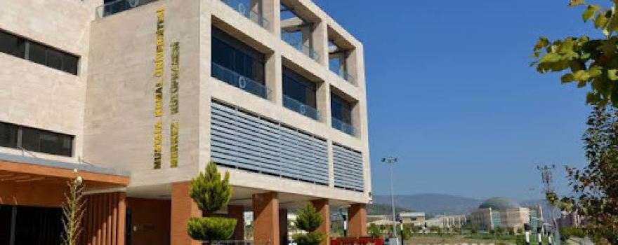 MK Library