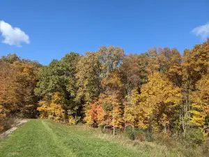 Oxbow Lake Wildlife Area