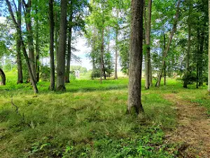 Tarvastu ordulinnuse varemed