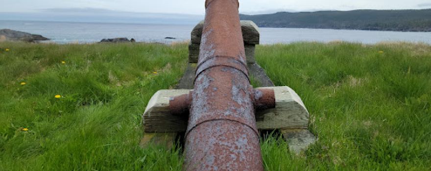 East Coast Trail - Bear Cove Point Path