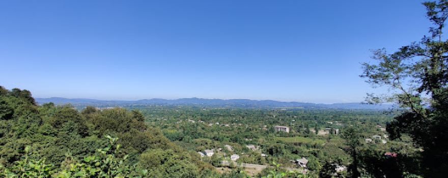 View point