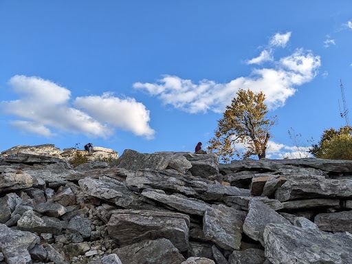 Waggoner's Gap Hawk Watch