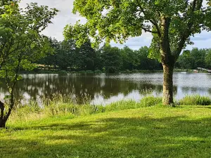 Camping Municipal Les Vergnes