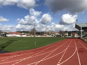 Khimik