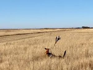 Lazy J Hunting, Inc.