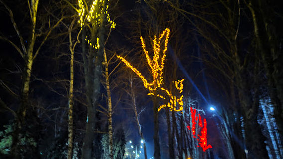 Skver Imeni Shevchenka