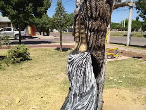Plaza Dr René Favaloro