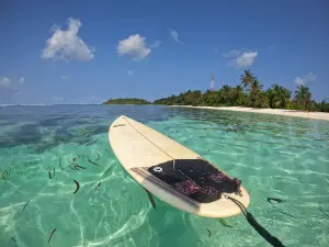 F1 SURFBREAK