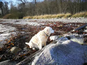 Nyborg Badestrand