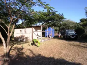 Ilala Palm Caravan Park