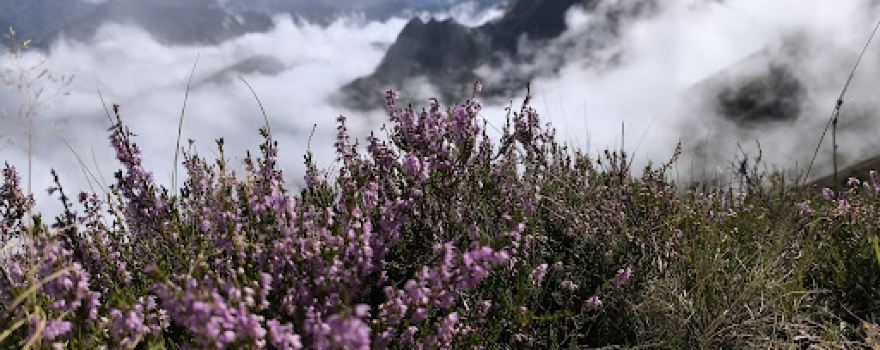 Pic de Cabaliros