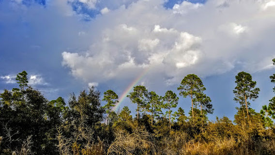 Chassahowitzka Wildlife Management Area