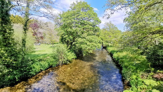 Camel Trail (cycle way)
