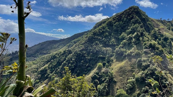 Cerro Pico Blanco