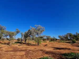 Yowah Fossicking Area