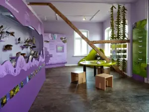 Naturkundemuseum Niebüll
