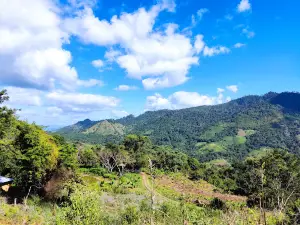 FINCA EL PROGRESO