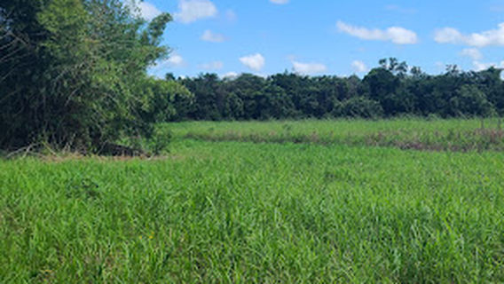 Curepe Better-Living Tabernacle Seventh-day Adventist Church