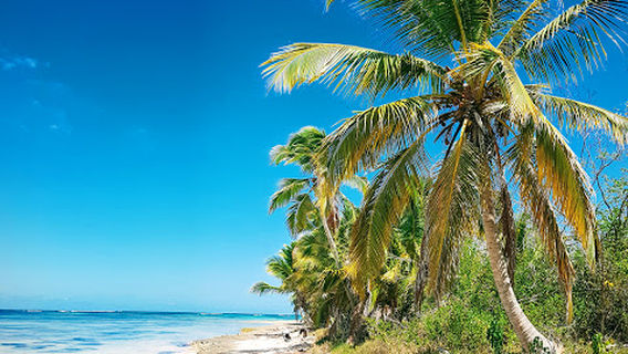 Punta Cana