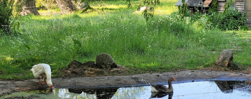 Naturerlebnis Park