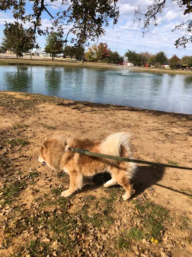 Joshua City Park & Splash Pad